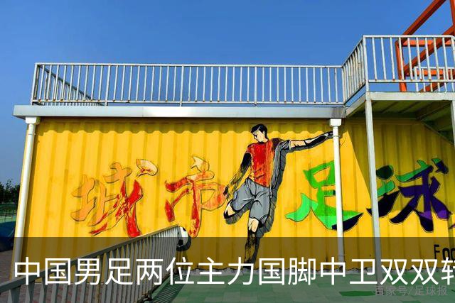 中国男足两位主力国脚中卫双双转会山东足坛，新赛季挑起重担引关注